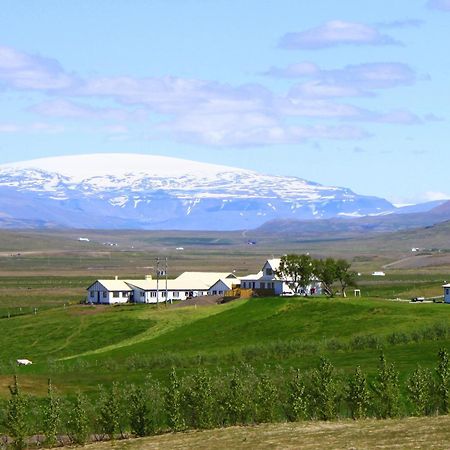 Guesthouse Steindorsstadir, West Iceland Reykholt  Exterior photo