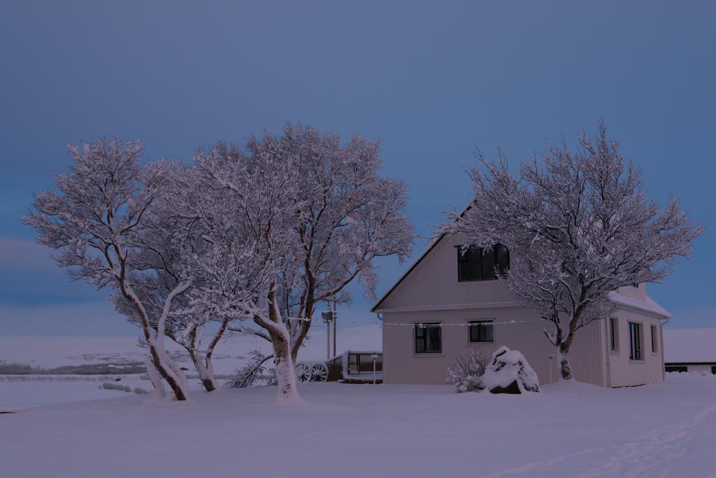 Guesthouse Steindorsstadir, West Iceland Reykholt  Exterior photo