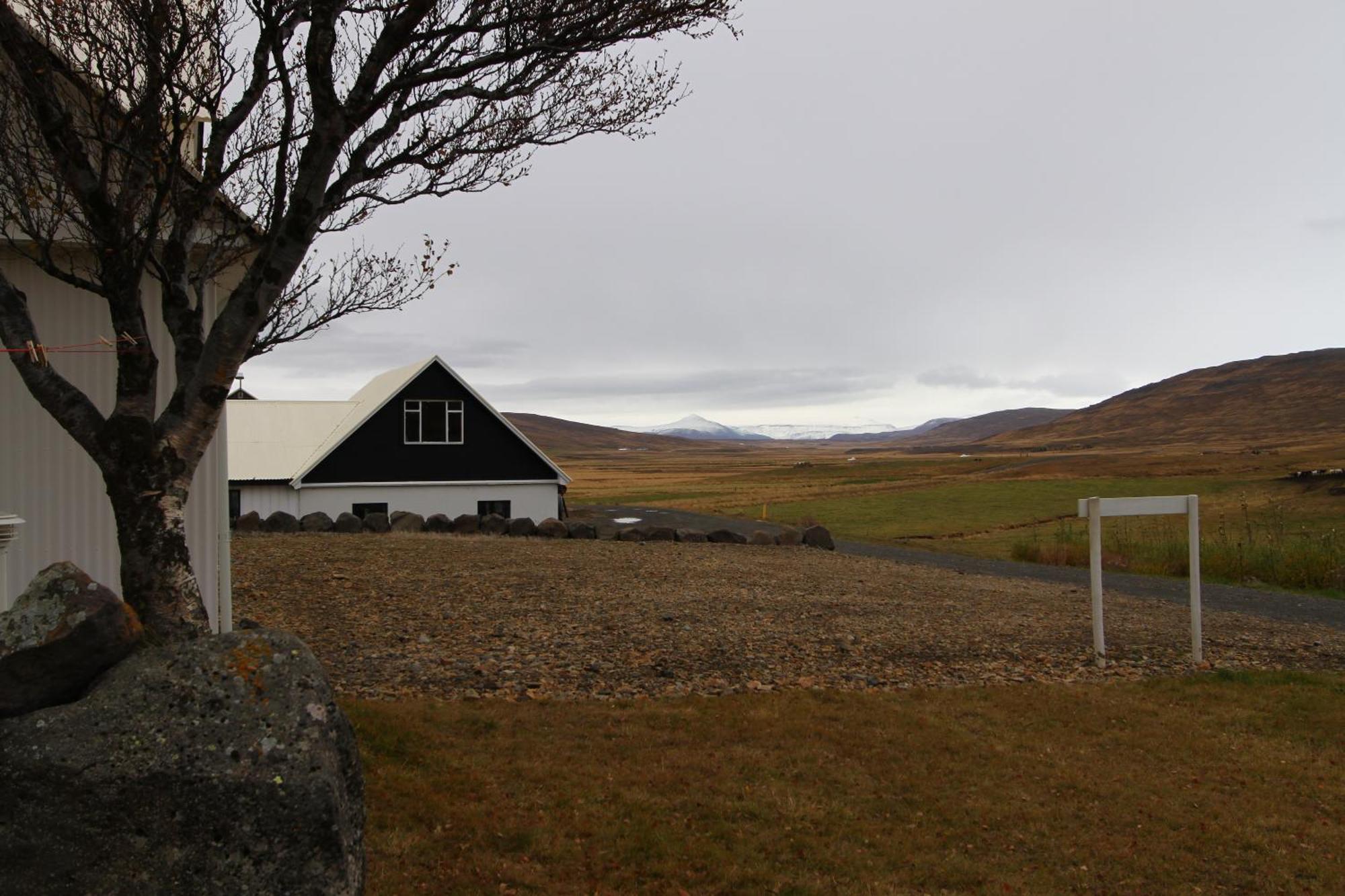 Guesthouse Steindorsstadir, West Iceland Reykholt  Exterior photo