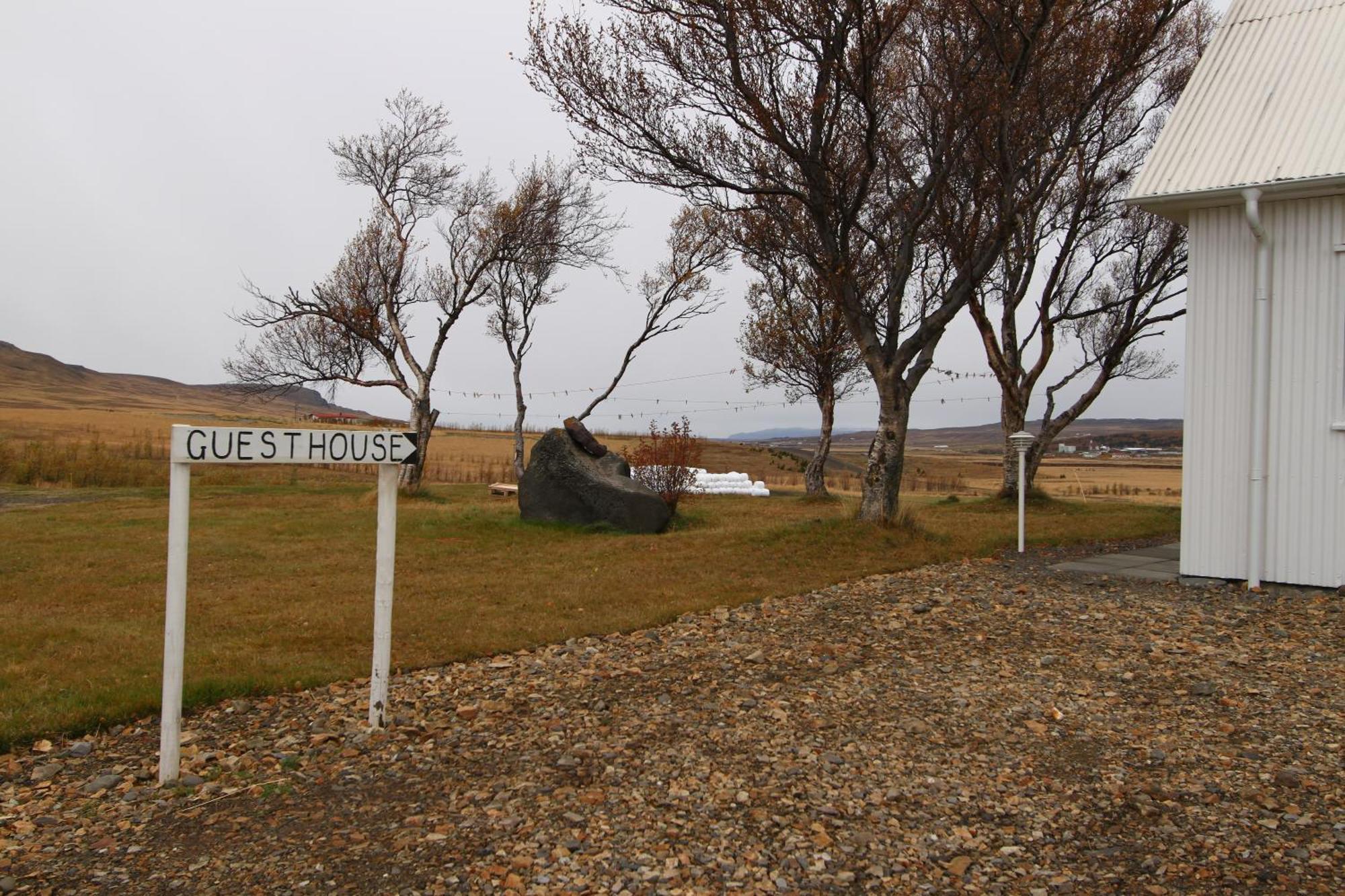 Guesthouse Steindorsstadir, West Iceland Reykholt  Exterior photo